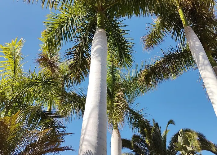 아파트 Adeje Paradise 플라야 파라이소